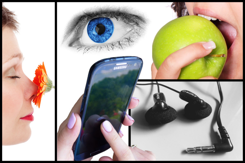 Passion Fruit Voiceovers | Voice Over Talent